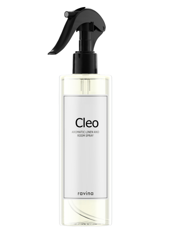 Bytový sprej Ravina D035 Cleo - 200 ml