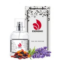 esensino E141